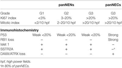 Clinical and Preclinical Advances in Gastroenteropancreatic Neuroendocrine Tumor Therapy